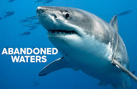 Abandoned Waters: Abandoned Waters