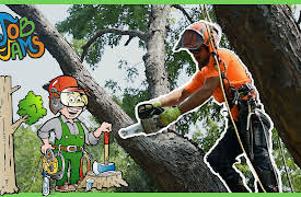 Job Jams: Tree Climber