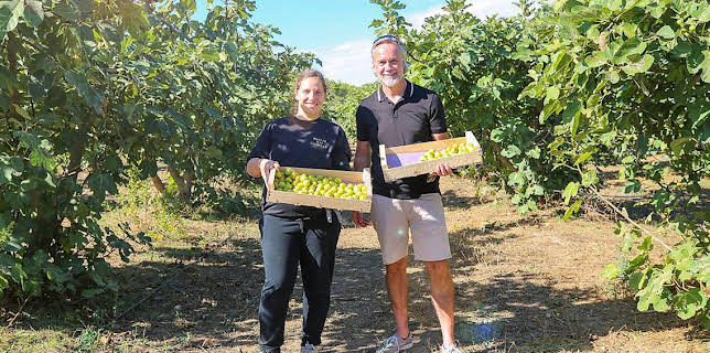 8:00 AM: Marcus Wareing Simply Provence (S1 E9) (S1) | BBC Two | 2/25 2026