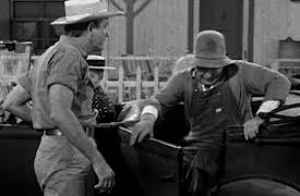 The Real McCoys: The Lady's Man