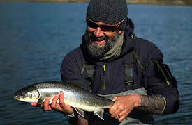 Fish or Die:  The Four Norsemen