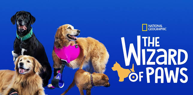 The Wizard of Paws