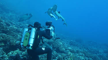 00:00: Deadly Islands (S1 E2) (S1) | Animal Planet | 4/11 2026