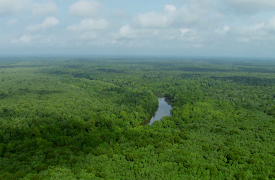 Swamp Loggers: Episode 23