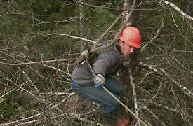 Ax Men Season 1: Storm Season Strikes