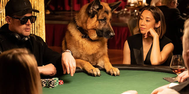 01:05: Hudson & Rex | TV 2 | 11/20 2025