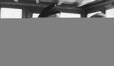 Kümo Henriette (18)