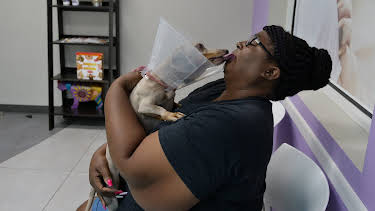 03:15: The Vet Life (S4 E7) (S4) | Animal Planet | 1/6 2026