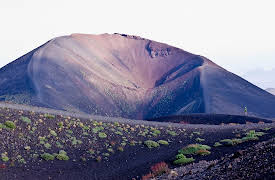 A New History of Life: The Vast Depths of Earth Time