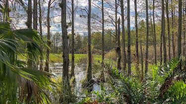 23:00: Offerets siste timer (S1 E5) (S1) | Investigation Discovery | 3/30 2026