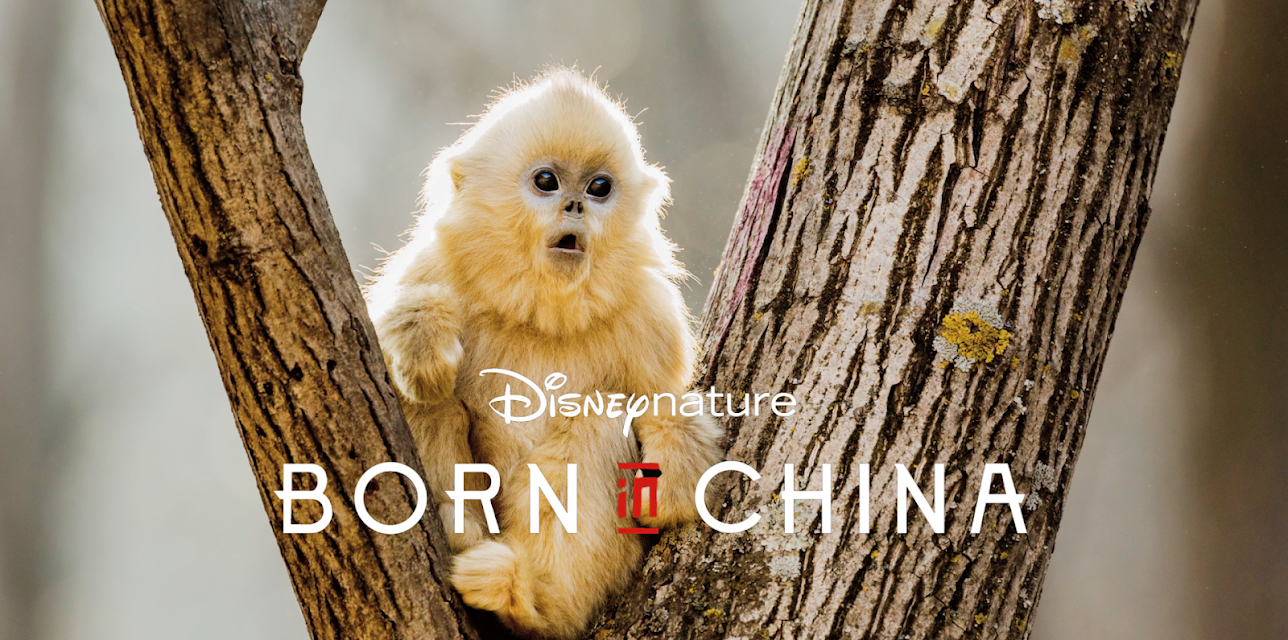 Disneynature: Born in China (With Bonus Content) (2017)