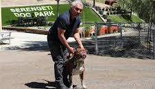 Cesar Millan: Better Human Better Dog - Bessere Menschen, bessere Hunde