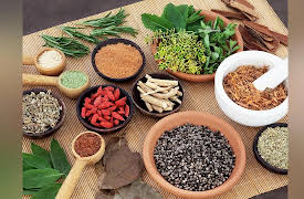 Medical Myths, Lies, and Half-Truths: What We Think We Know May Be Hurting Us: Herbalism and Herbal Medicines