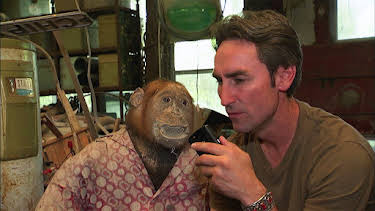 6:10 AM: American Pickers (S2 E8) (S2) | ITV4 | 10/28 2026