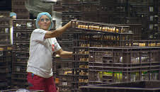 Undercover Boss