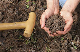 How to Grow Anything: Your Best Garden and Landscape in 6 Lessons: Prepare Healthy Soil and Plant for Spring