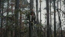 The Integrity of Joseph Chambers