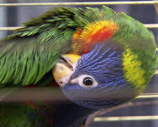 Elefant, Tiger & Co. (565)