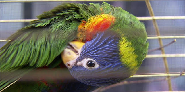 10:35: Elefant, Tiger & Co. (283) | MDR Fernsehen | 12/19 2025