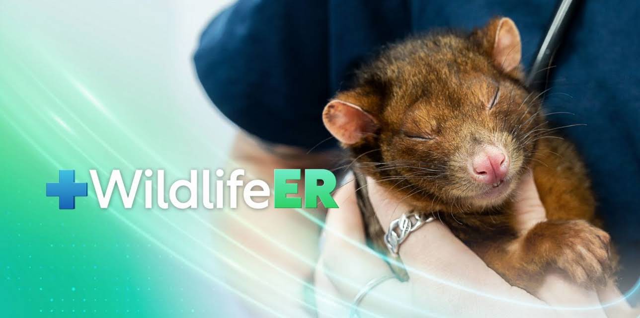 Wildlife ER
