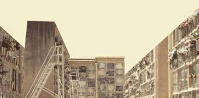 17:36: El documental: Néixer per néixer | Canal 33 | 3/5 2026