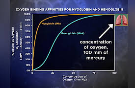 Biochemistry and Molecular Biology: How Life Works: Hemoglobin Function Follows Structure