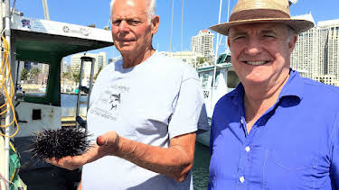 11:00 AM: Rick Stein's Road to Mexico (S1 E2) (S1) | Dave | 4/7 2026