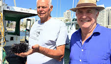 Rick Stein's Road to Mexico (S1 E2)