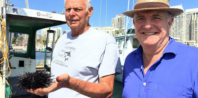 11:00 AM: Rick Stein's Road to Mexico (S1 E2) (S1) | Dave | 1/27 2026