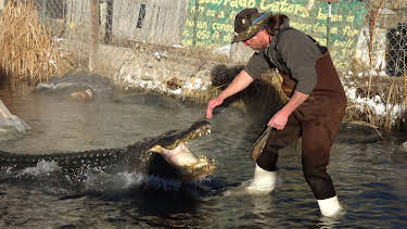 11:20: Dr. Jeff: Rocky Mountain Vet (S3 E12) (S3) | Animal Planet | 2/1 2026