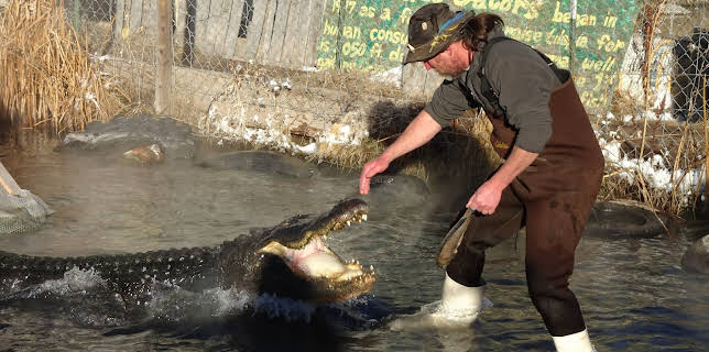 08:30: Dr. Jeff: Rocky Mountain Vet (S3 E12) (S3) | Animal Planet | 1/16 2026