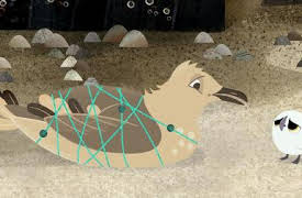 Puffin Rock: Rescate en la playa / Las bayas perdidas / Luces nocturnas