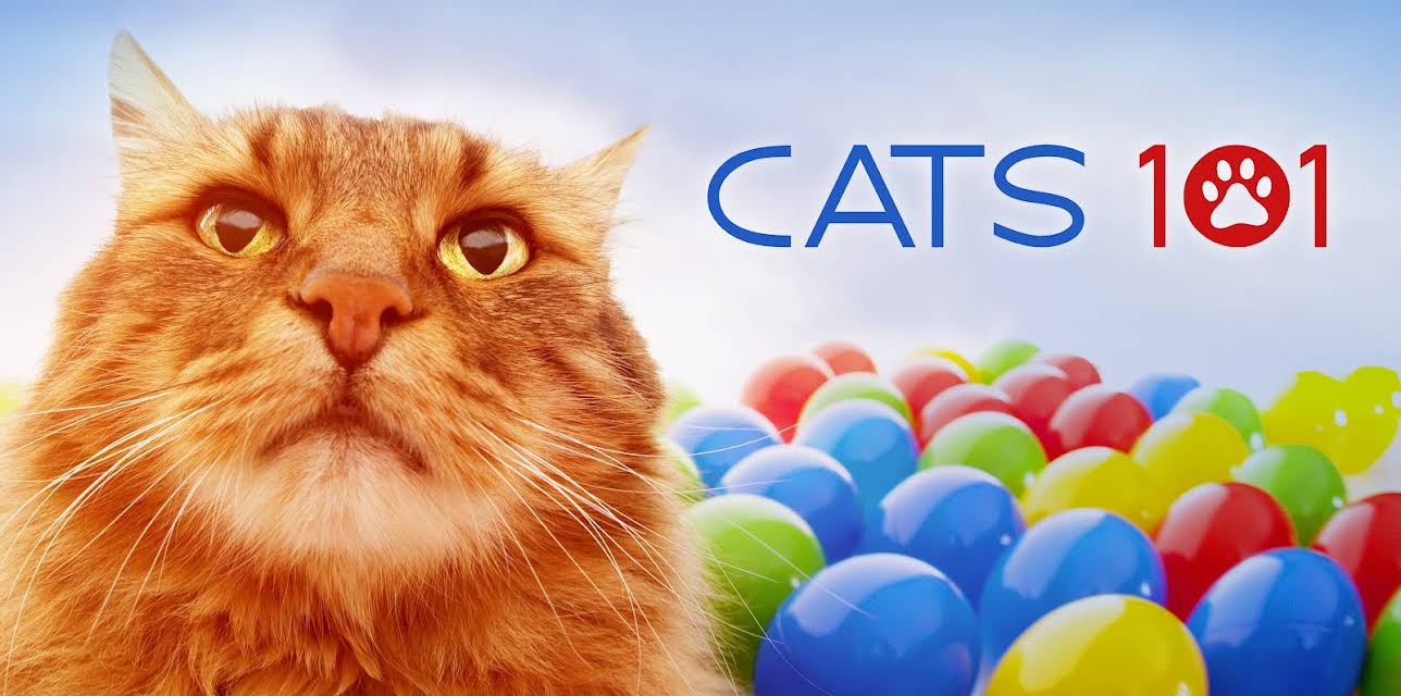 Cats 101 Season 1
