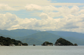 Mexico Life: Episode 11