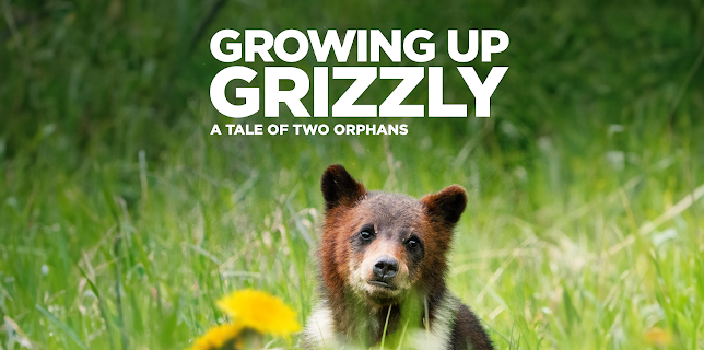 Growing Up Grizzly (2022)