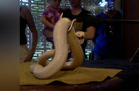 City Medical: Miami: Over Exposed