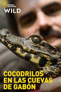 01:15: Cocodrilos en las cuevas de Gabón | Nat Geo Wild | 10/12 2026
