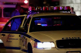 Blue Bloods, Season 1: Samaritan