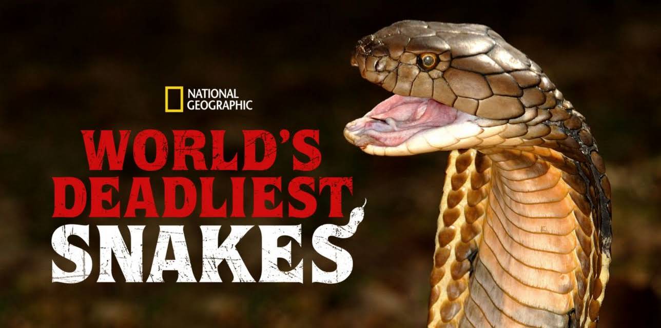 World's Deadliest Snakes