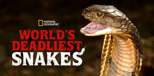 World's Deadliest Snakes