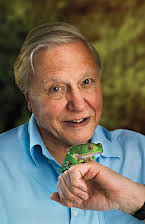David Attenborough som 