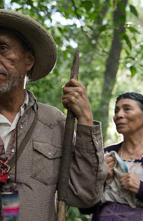 Monica Miguel as Director