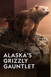 10:00 AM: Alaska's Grizzly Gauntlet | Nat Geo Wild | 1/8 2026