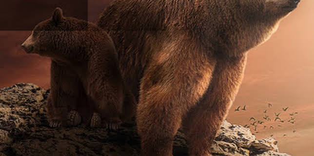 9:00 AM: Alaska's Grizzly Gauntlet | Nat Geo Wild | 12/11 2025