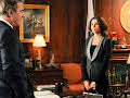 The Good Wife