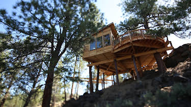 15:00: Treehouse Masters (S7 E13) (S7) | Animal Planet | 12/29 2025