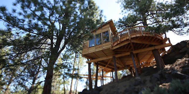 00:45: Treehouse Masters (S7 E13) (S7) | Animal Planet | 12/6 2025