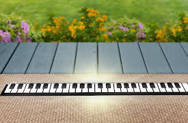 Guillermo And Will: Season 1: Piano / Piano