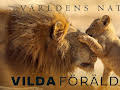 Världens natur: Vilda föräldrar