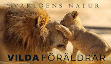 Världens natur: Vilda föräldrar
